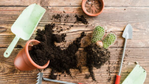 Blumenerde auf tisch