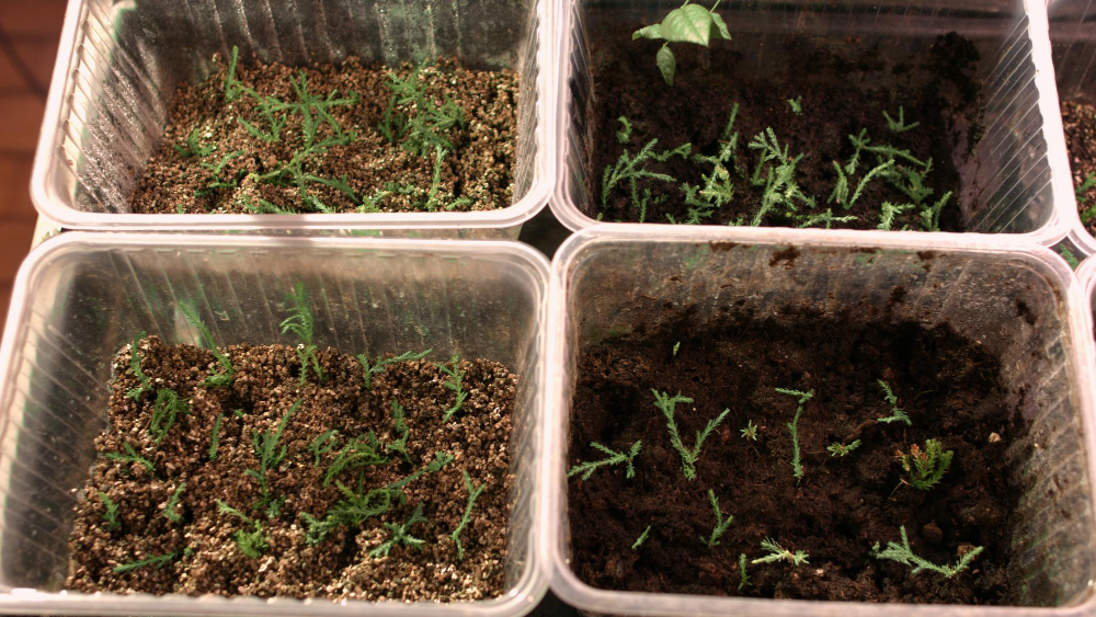 verschiedene Erdsorten