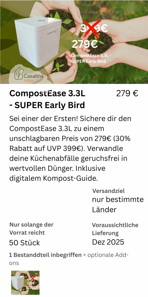 3.3 super early bird